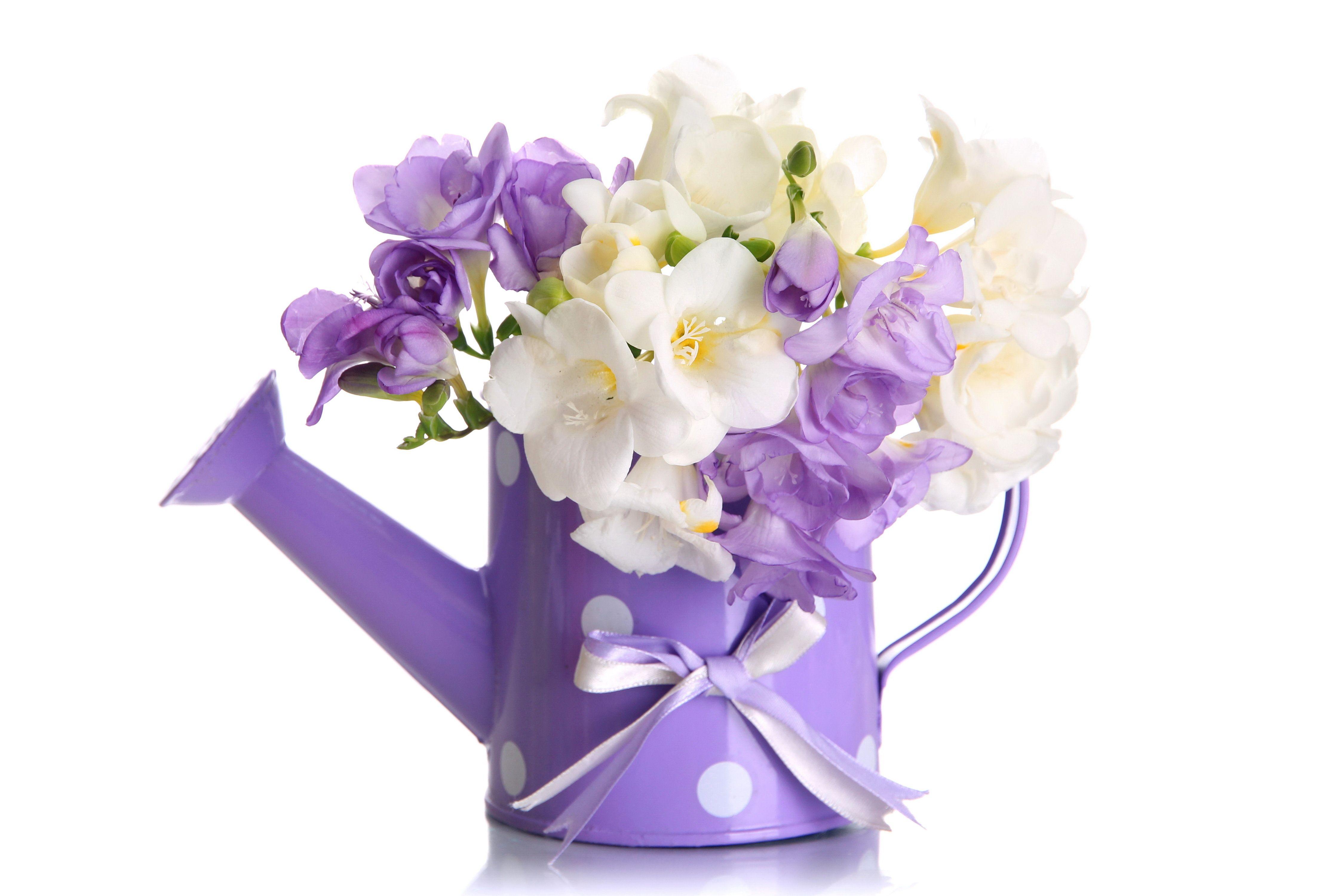 4500x3000 Purple and White Flowers in Water Can 4k Ultra HD Wallpaper