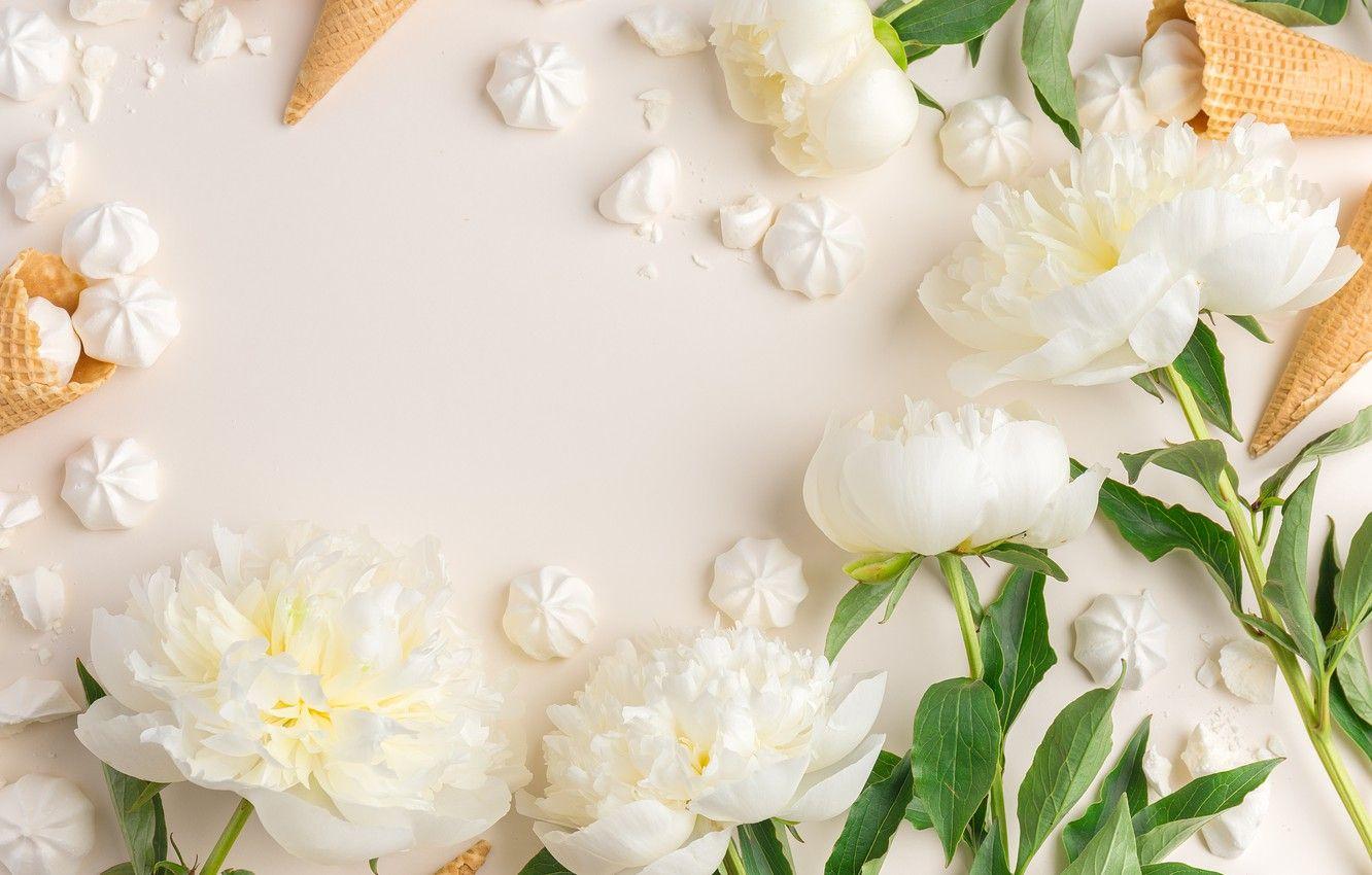 1332x850 Wallpaper flowers, ice cream, white, white, horn, flowers