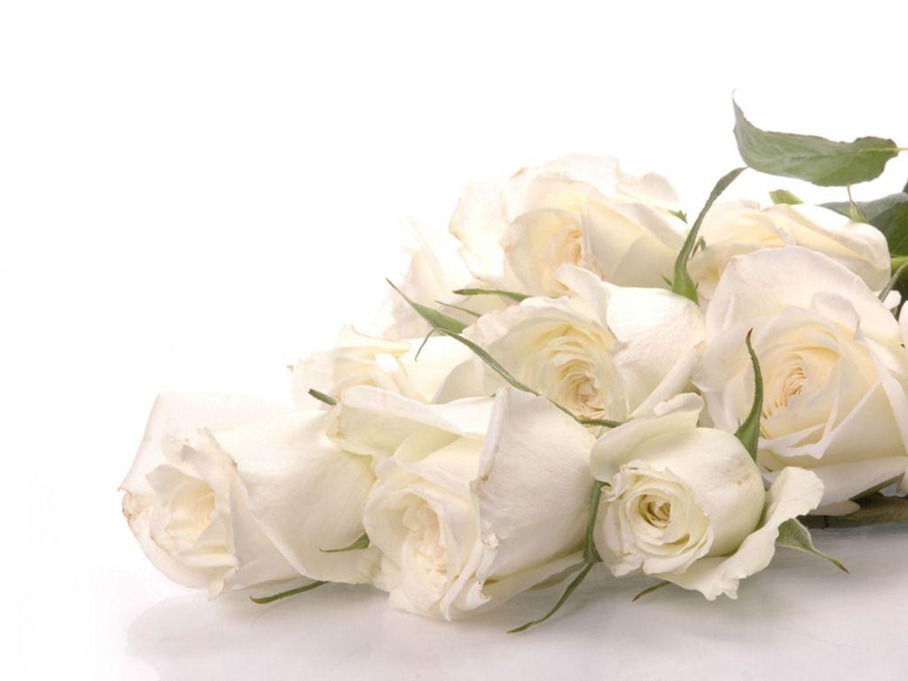1024x768 White Rose Roses Bouquet