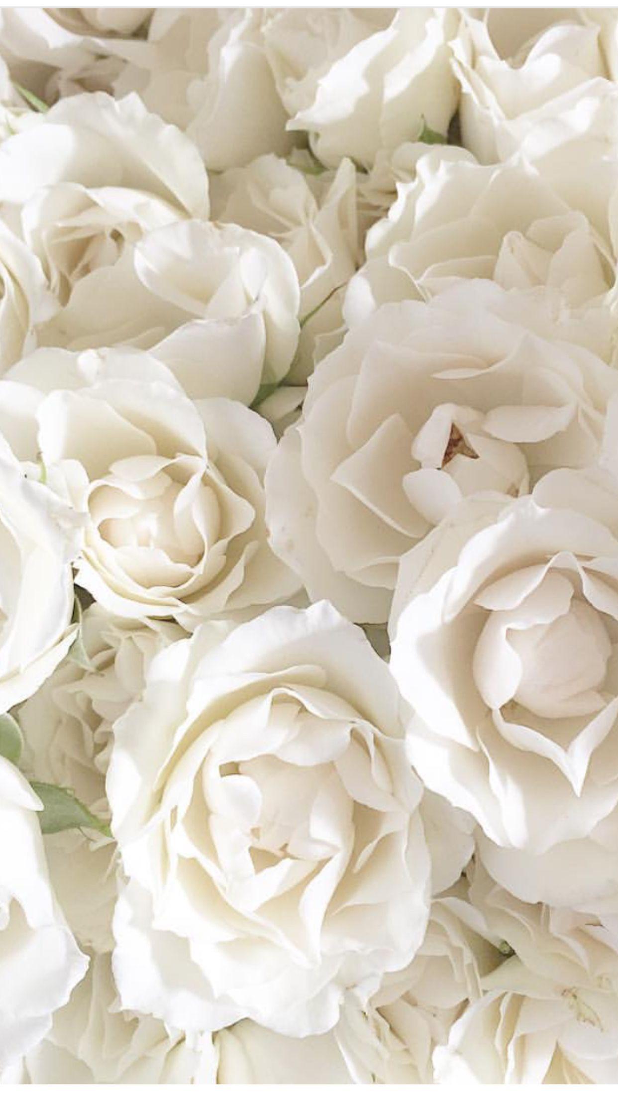 1242x2208 floweraesthetic