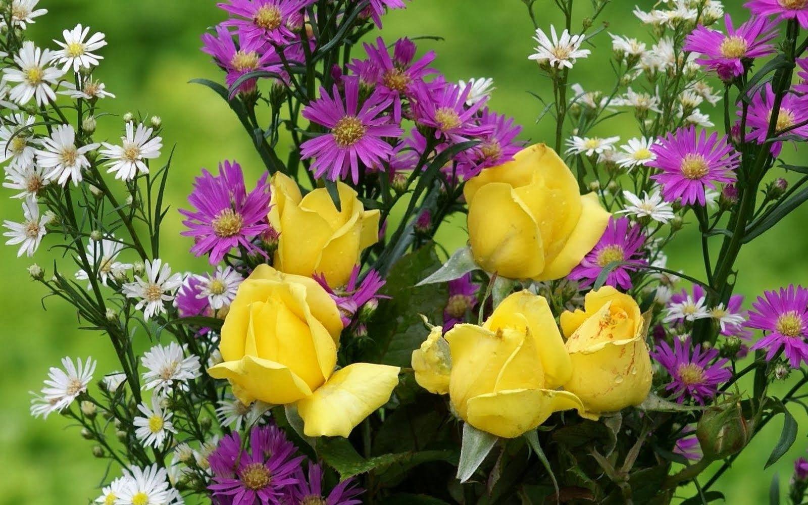 1600x1000 Beautiful Yellow Purple White Flowers HD Wallpaper