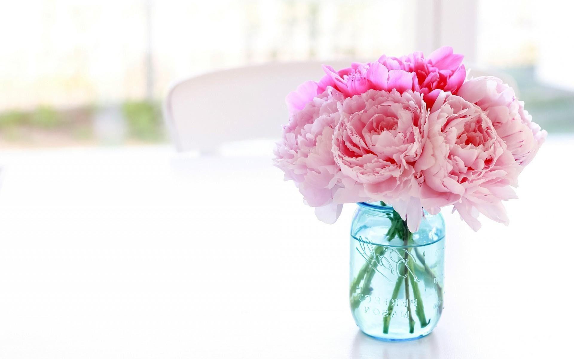 1920x1200 White Peony Wallpaper