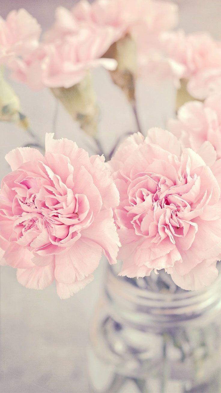 736x1308 Decorating Regarding Peonies iPhone X Wallpaper