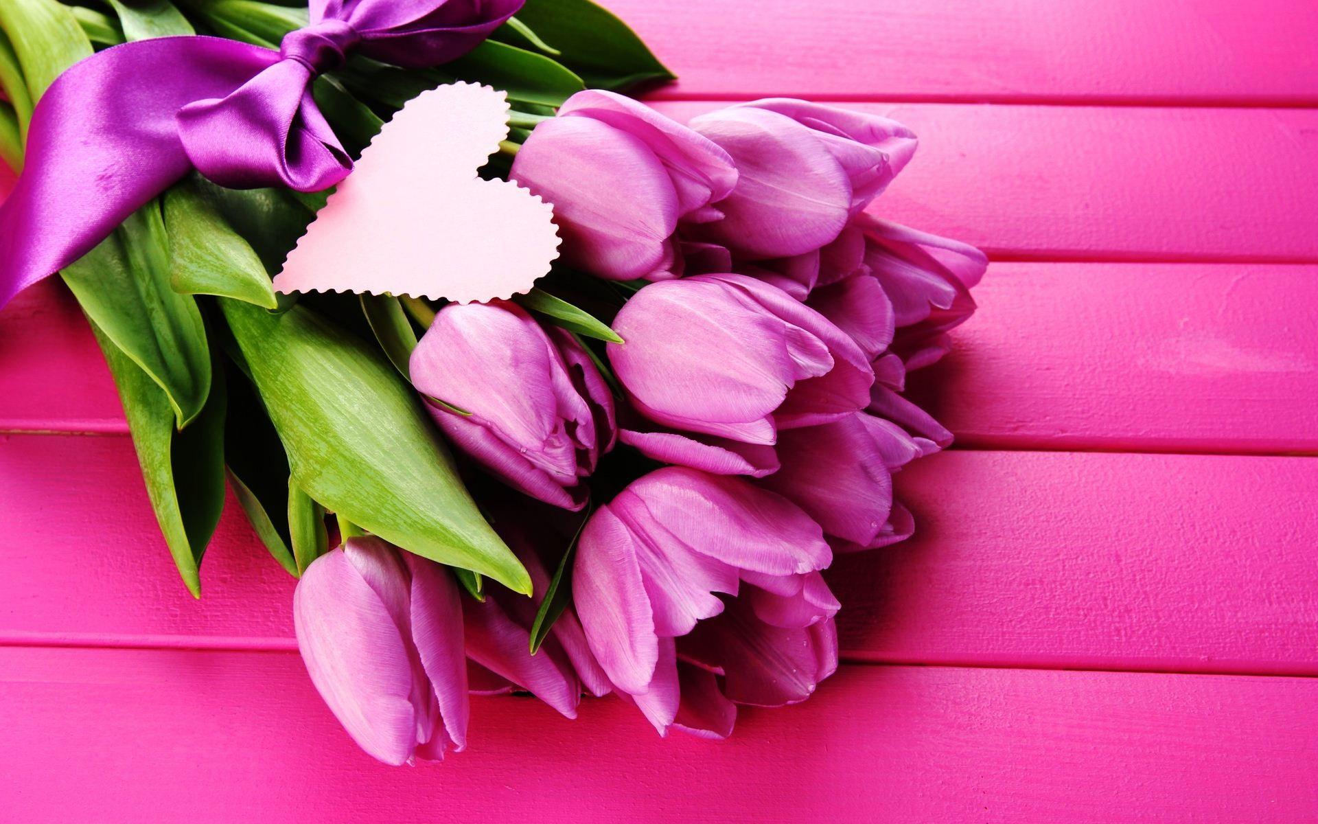 Hình nền hoa Tulip 1920x1200 Hình nền hoa tulip trắng Funmag - Hoa tulip màu tím và hồng - Tải xuống hình nền & hình nền HD