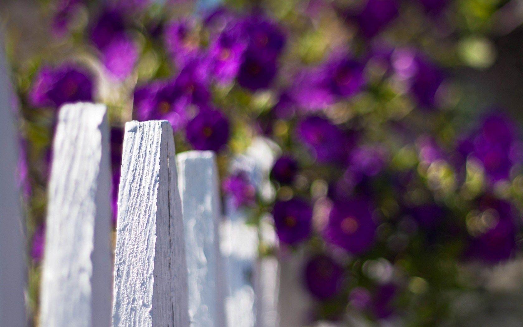1680x1050 Fence White Flowers Purple Blur wallpaperx1050