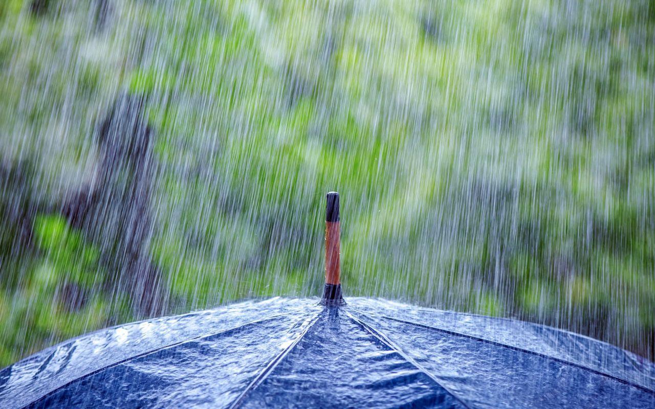 1280x800 summer rain. Crazy Summer rain Wallpaper. Rain wallpaper
