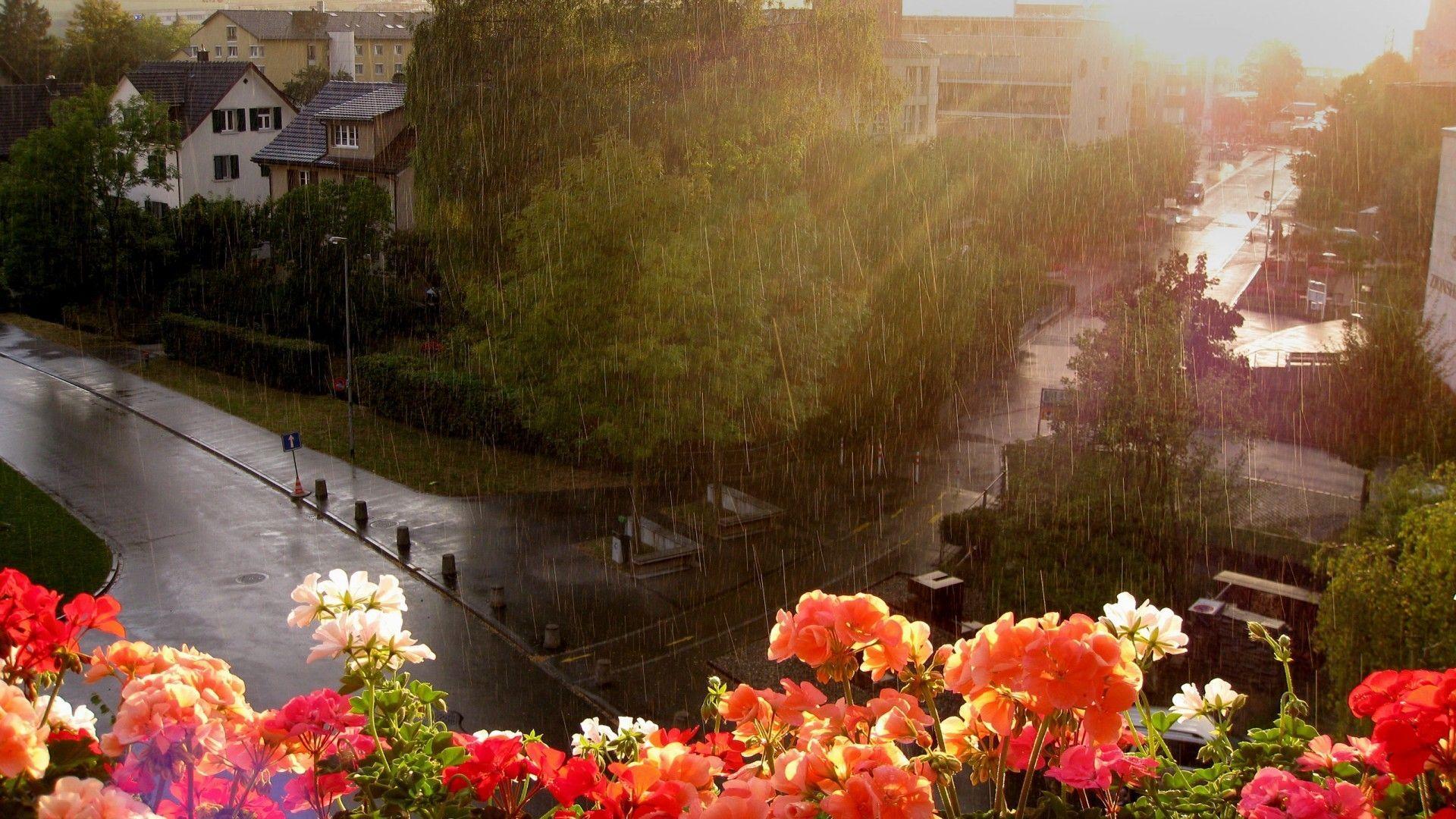 1920x1080 Rain image by Kathy. Summer rain, Rain wallpaper, Rainy wallpaper