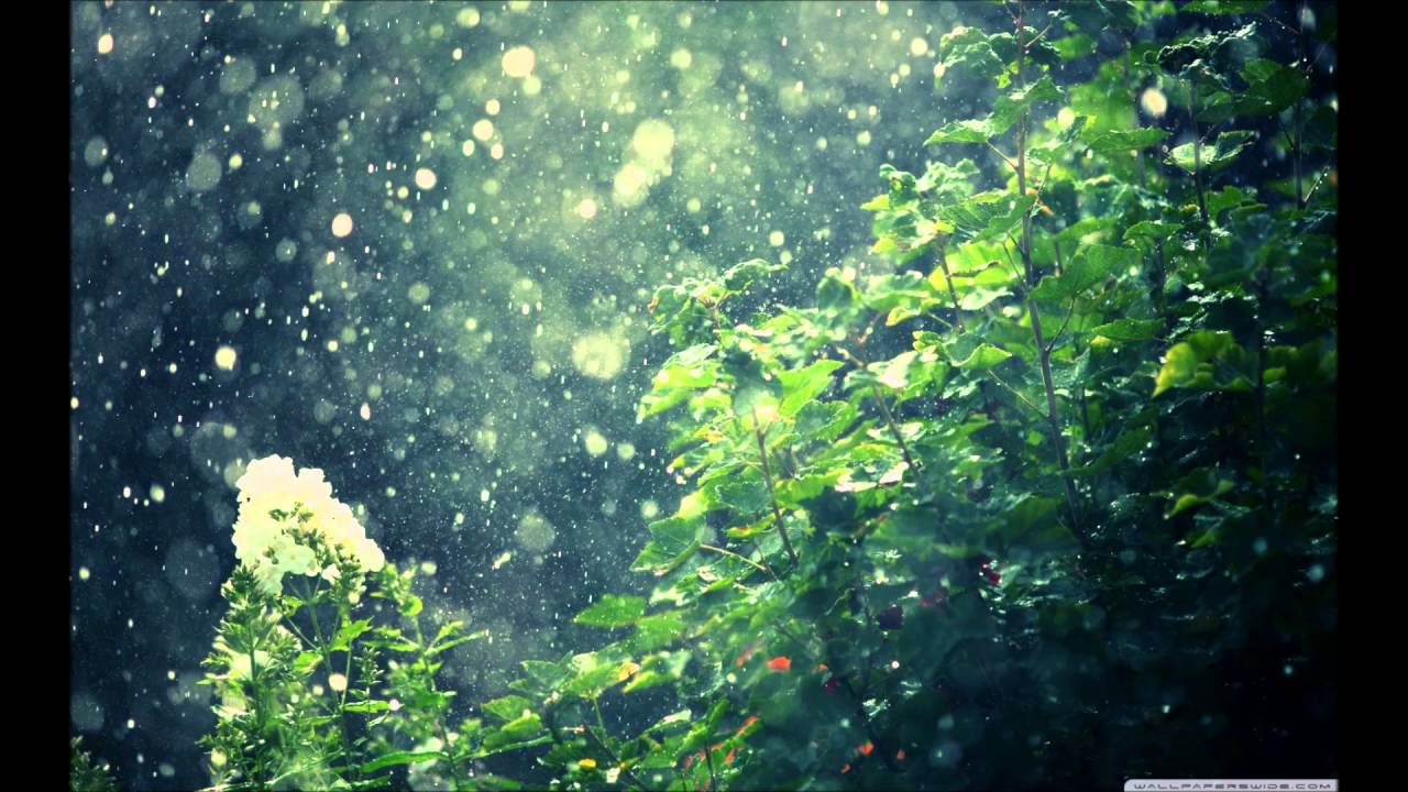 1280x720 Summer Rain