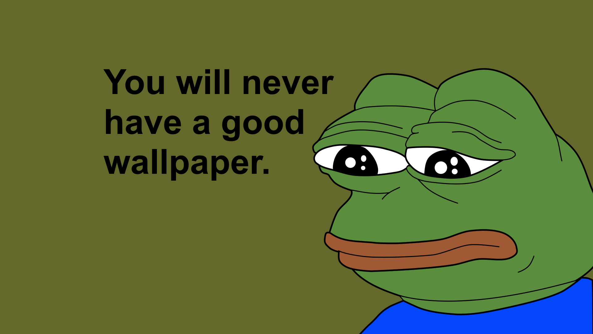 1920x1080 You Will Never Have A Good Wallpaper