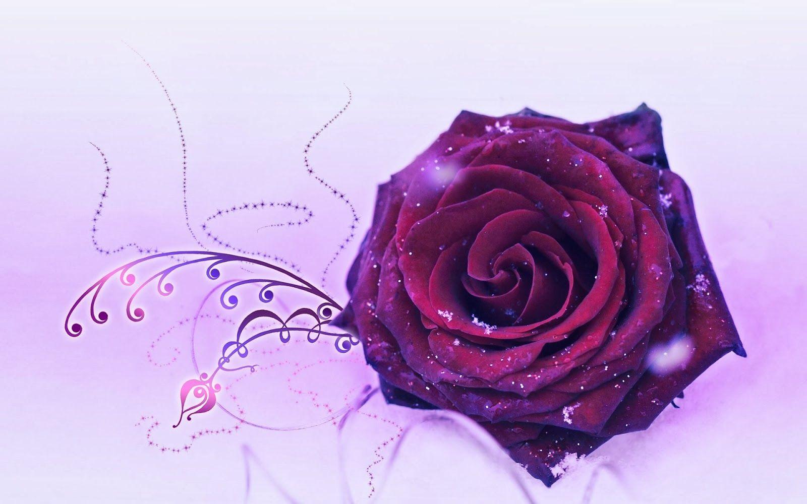 1600x1000 High Quality Image Collection of Purple Rose: Altti Gooderson