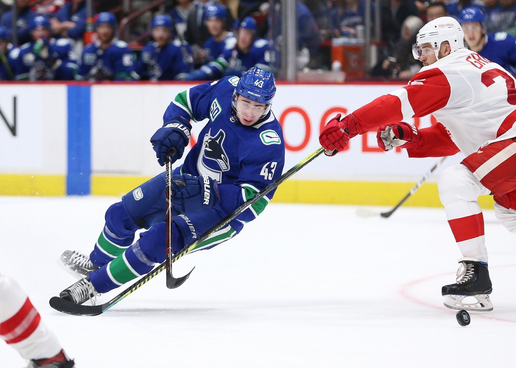1800x1284 Quinn Hughes Wallpaper
