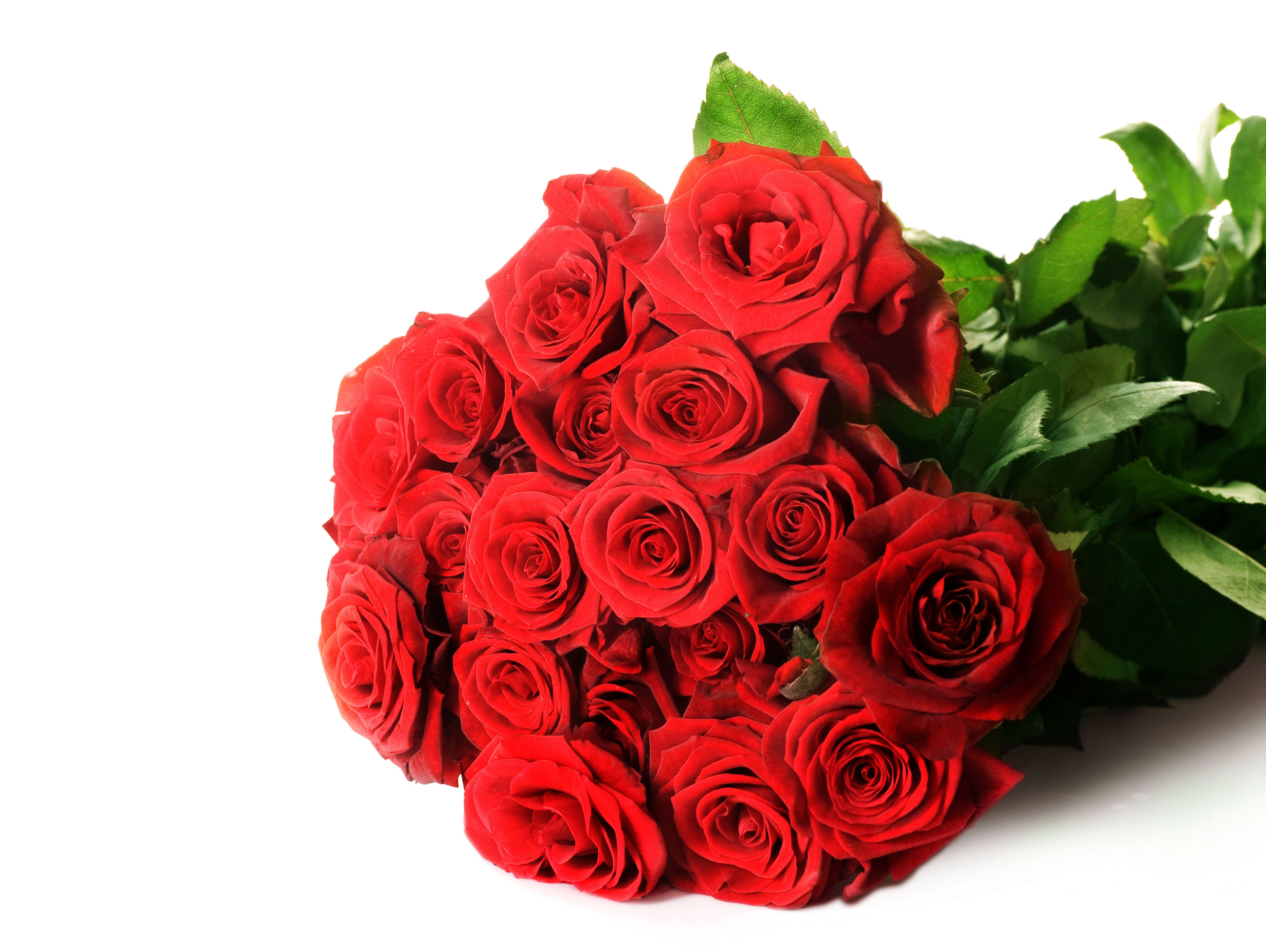 6250x4701 Wallpaper Red Roses, Bouquet, HD, 5K, Flowers,. Wallpaper