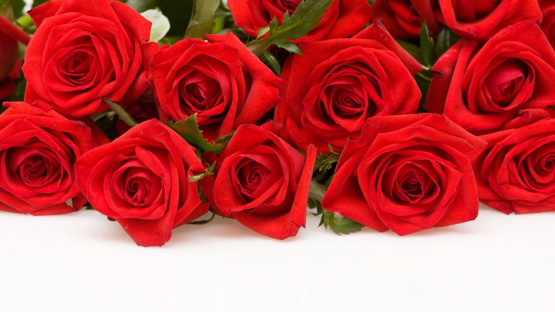 1920x1080 Red Rose Flower Background