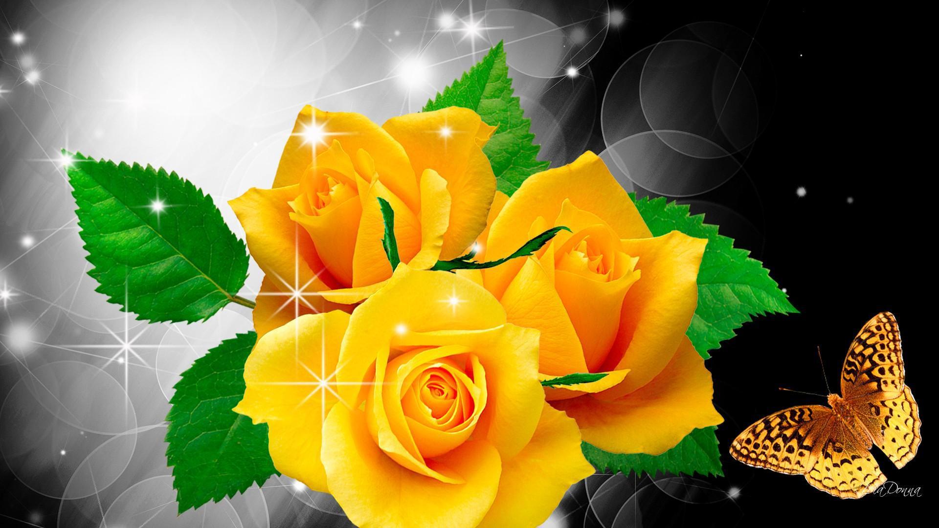 1920x1080 Free download Yellow roses and butterfly wallpaper and image