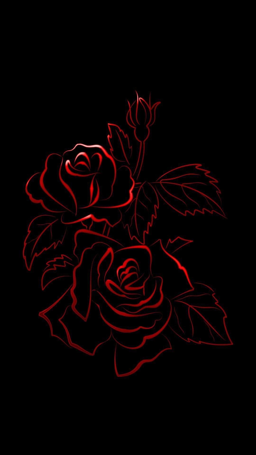 83 Red Rose Black Background  WallpaperSafari
