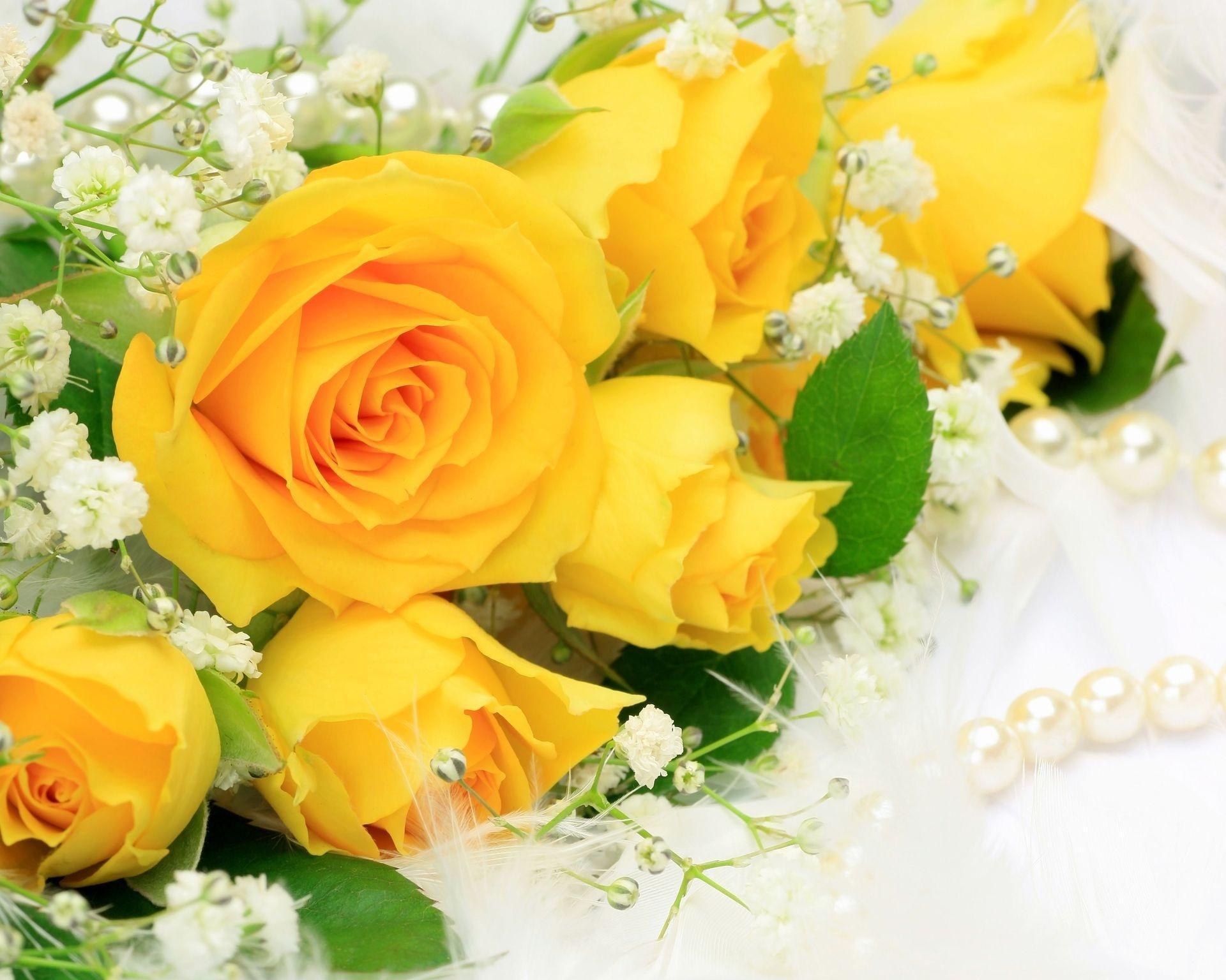 1920x1536 Yellow Roses Wallpaper