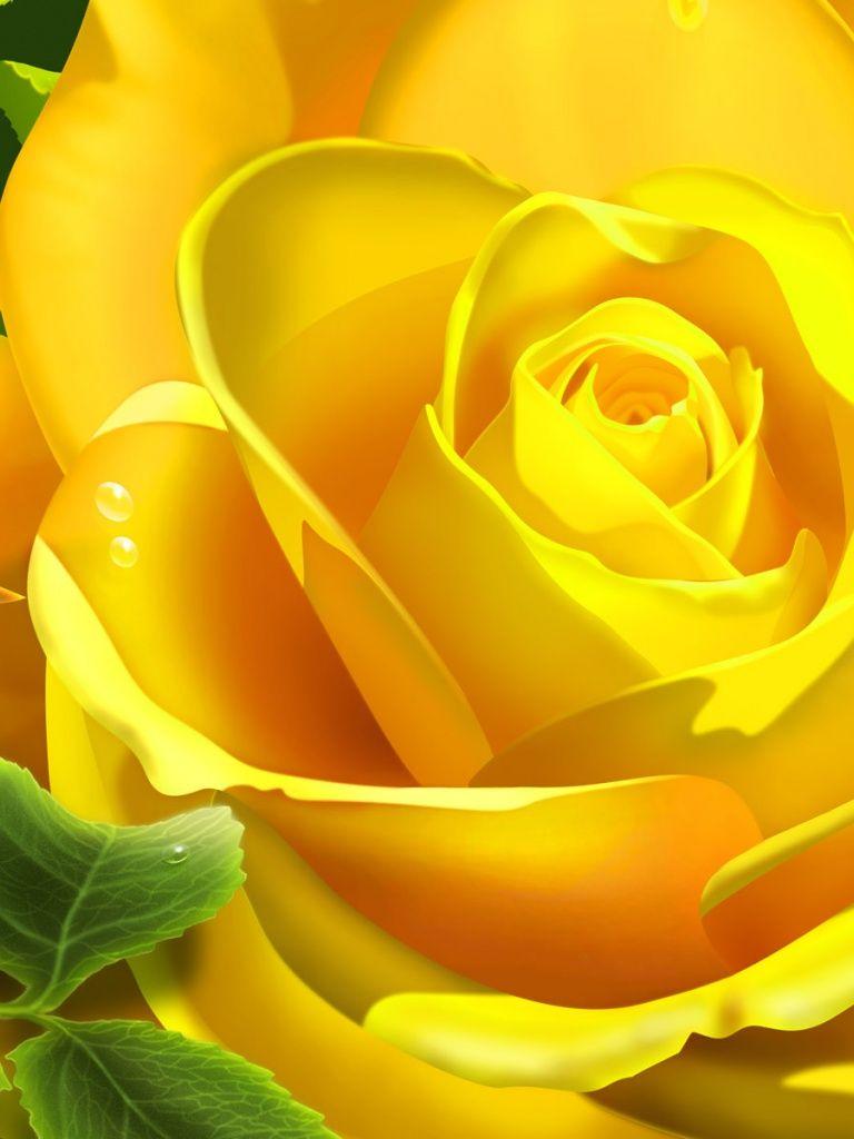 768x1024 Yellow Rose Flower, flowers iPad mini wallpaper
