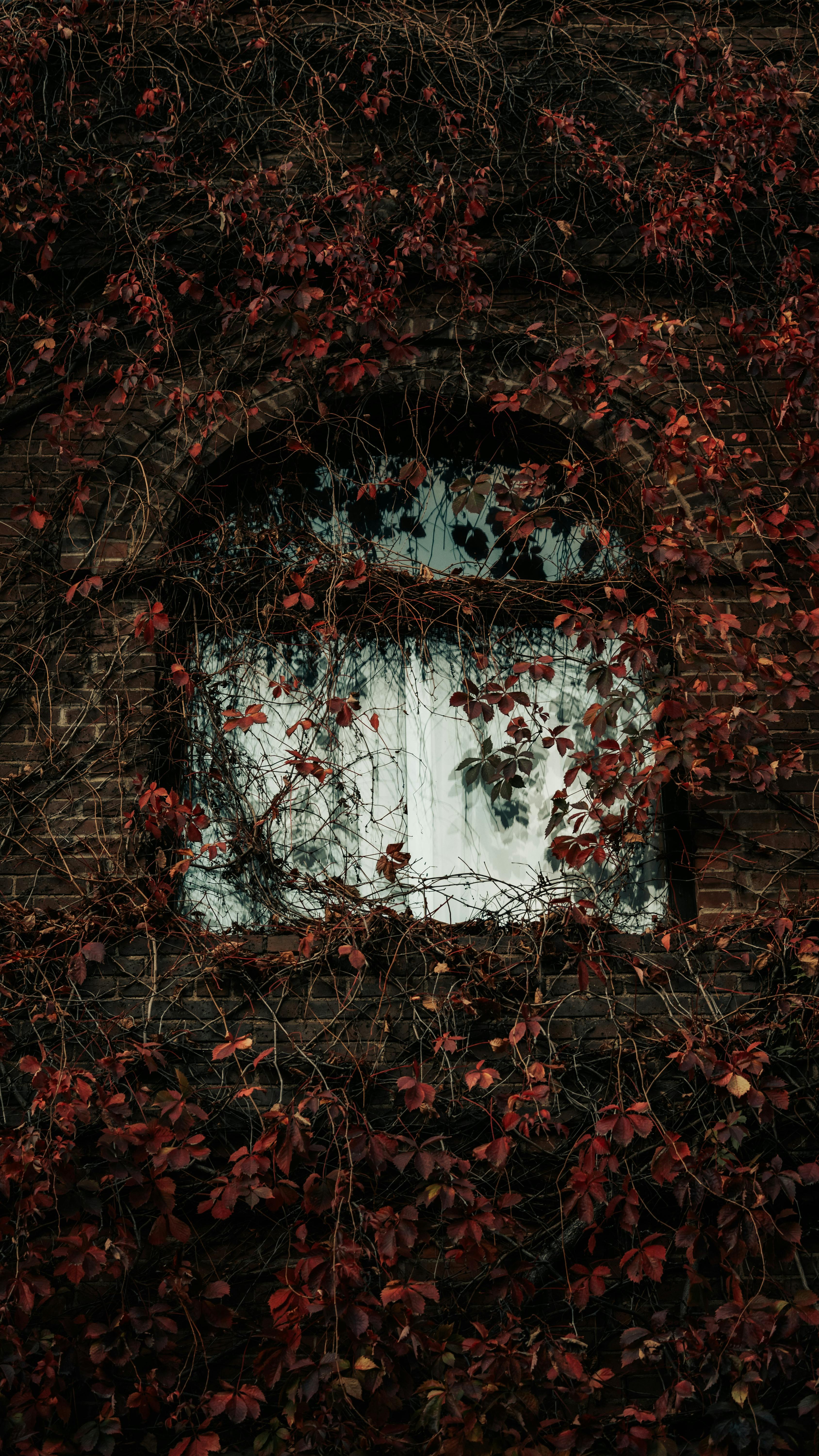 3376x6000 Aesthetic Wallpaper Photo, Download The BEST Free Aesthetic Wallpaper & HD Image