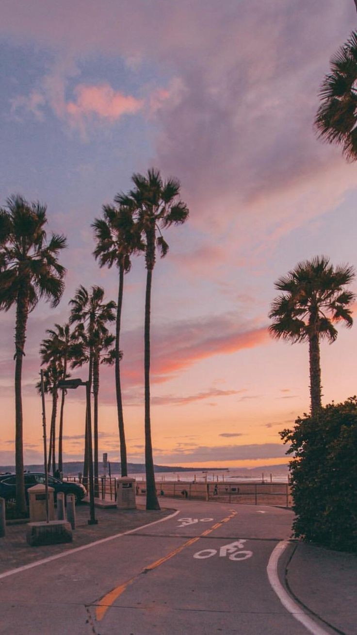 736x1308 Best iPhone Wallpaper image HD Quality, iPhone wallpaper, Aesthetic iPhone wallpa