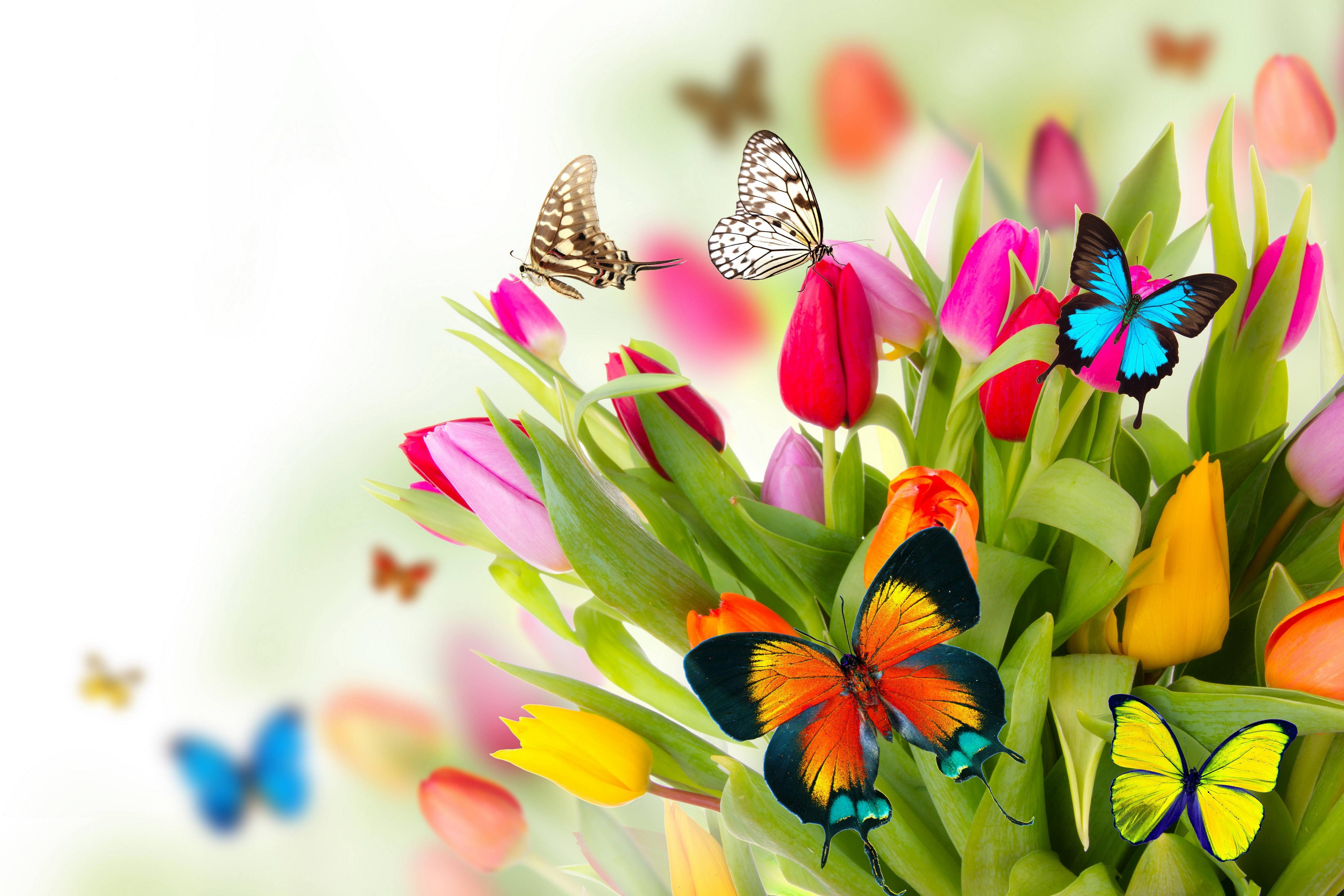 Spring Floral Desktop Wallpapers Top Free Spring Floral Desktop Backgrounds Wallpaperaccess