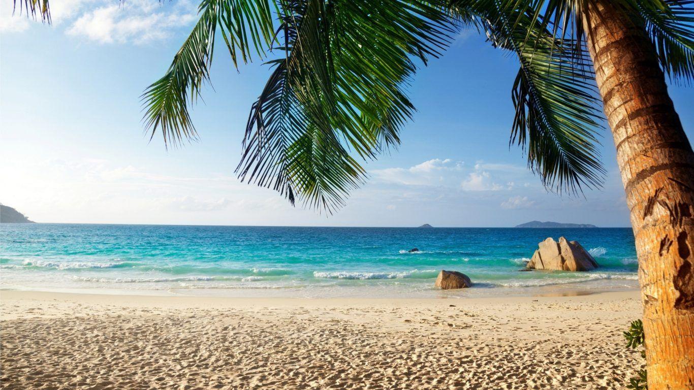 1366x768 Beach: Water Green South Beach Nature China Sea 3D Wallpaper Desktop