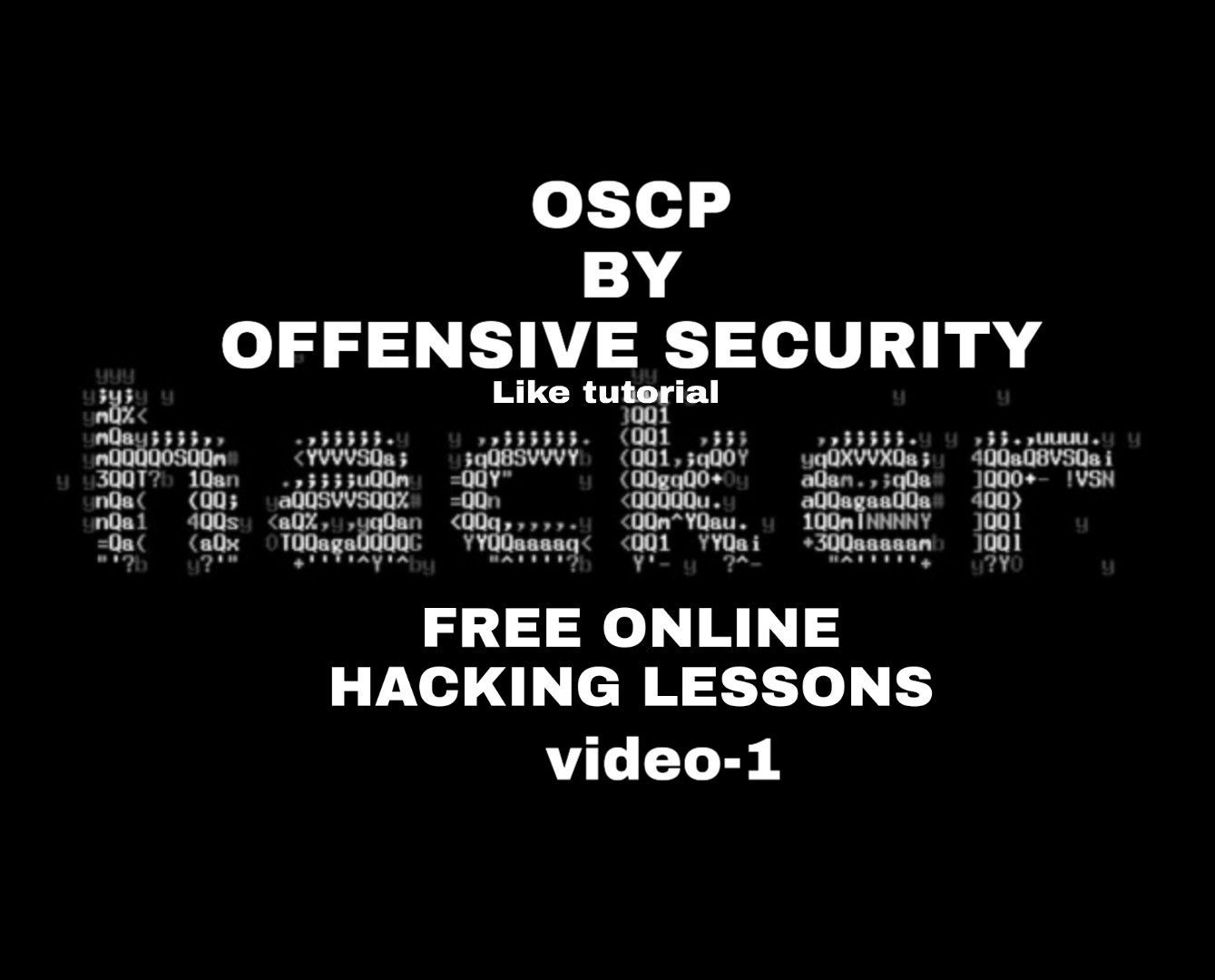 1339x1080 oscp review