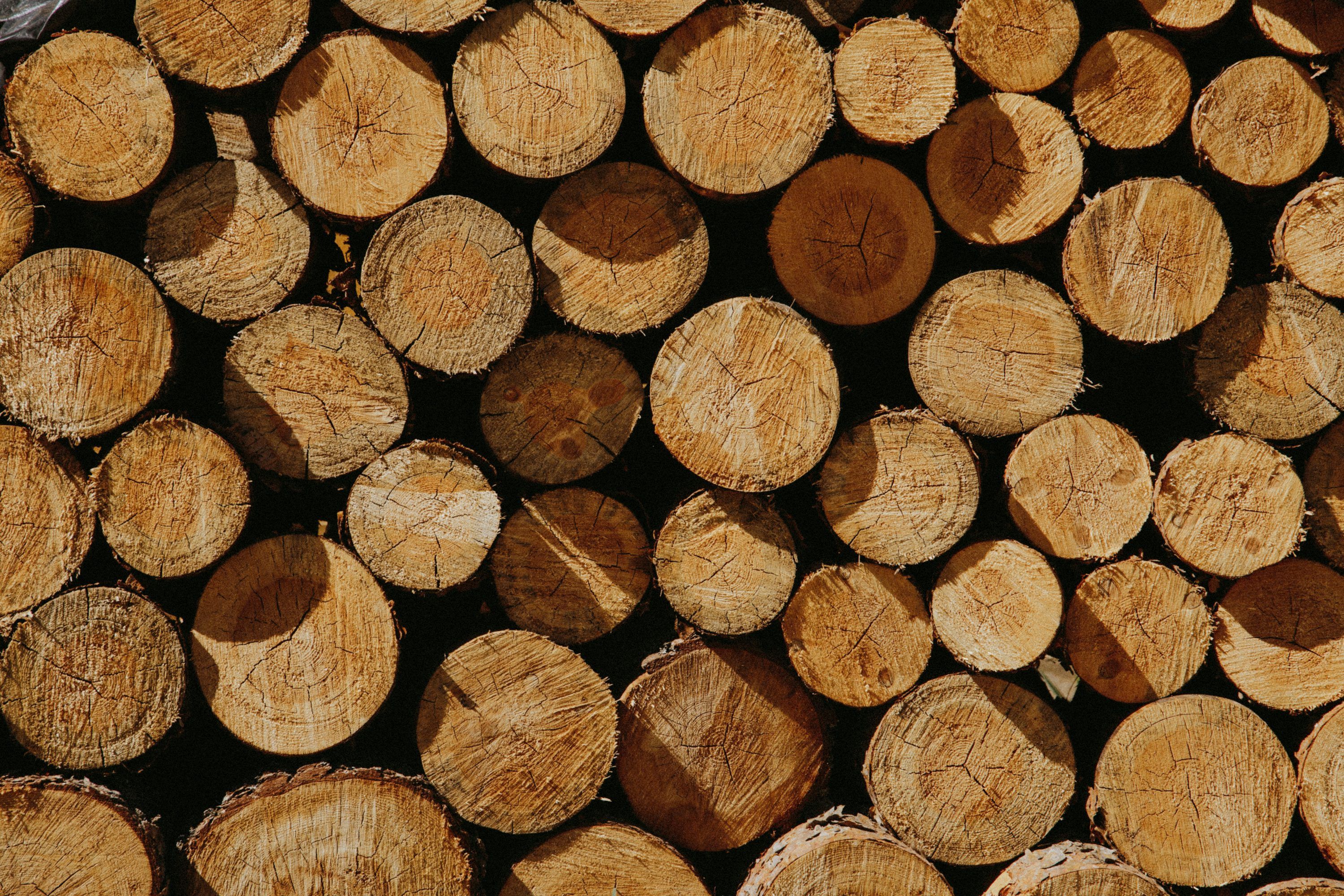 3000x2000 Pine Wood Picture. Download Free Image