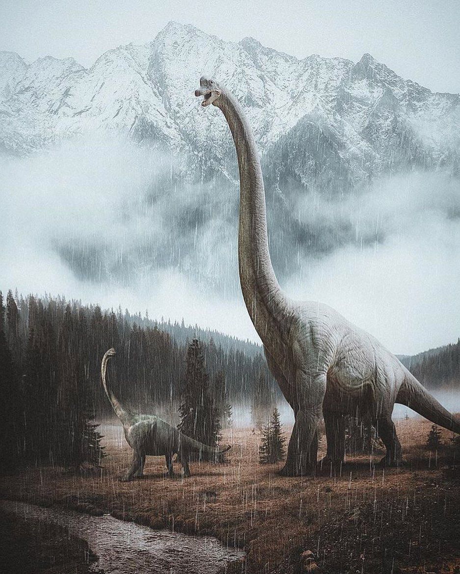 937x1171 Brontosaurus Wallpaper