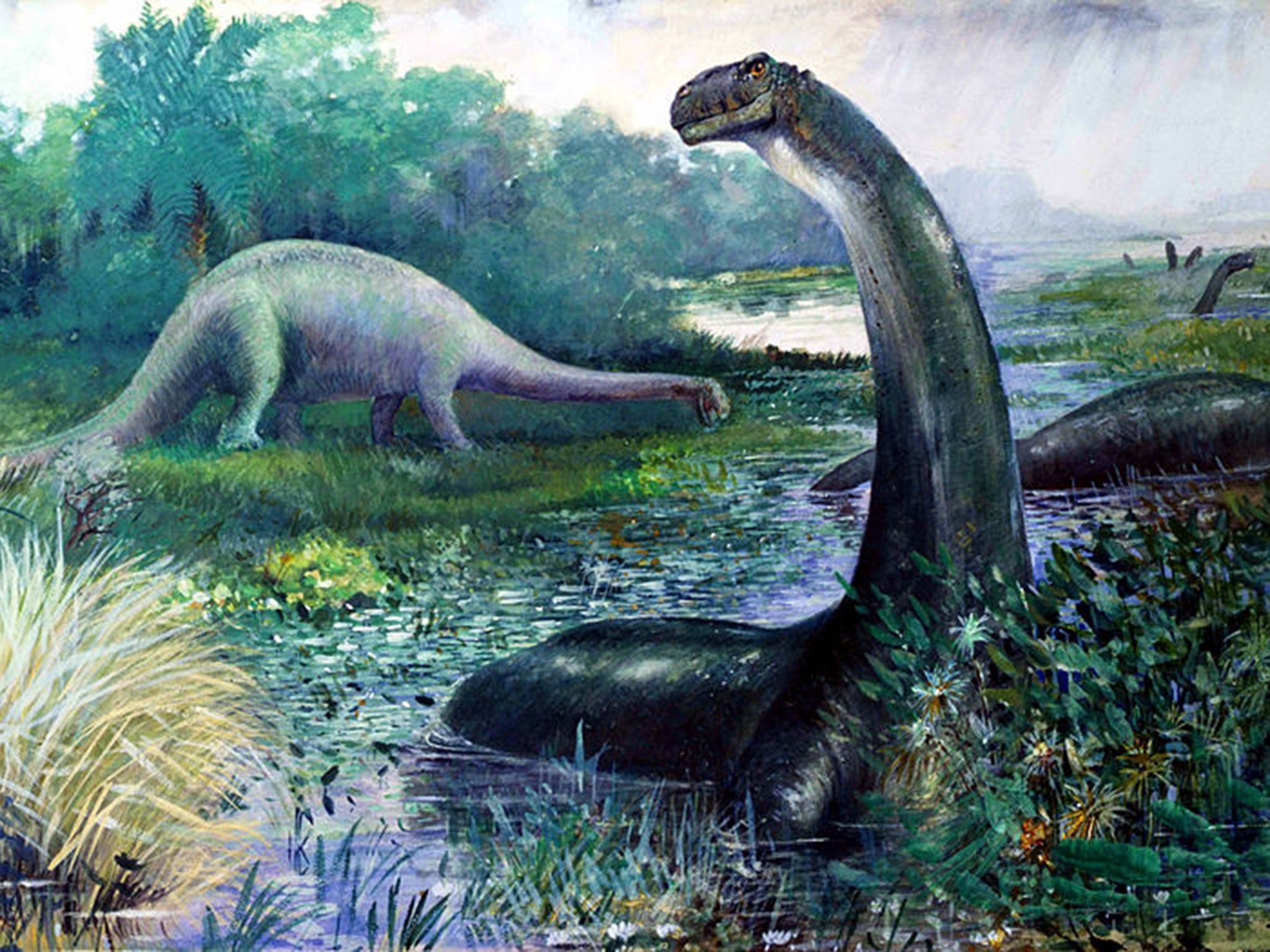 2048x1536 The Brontosaurus has been officially classed as a dinosaur again
