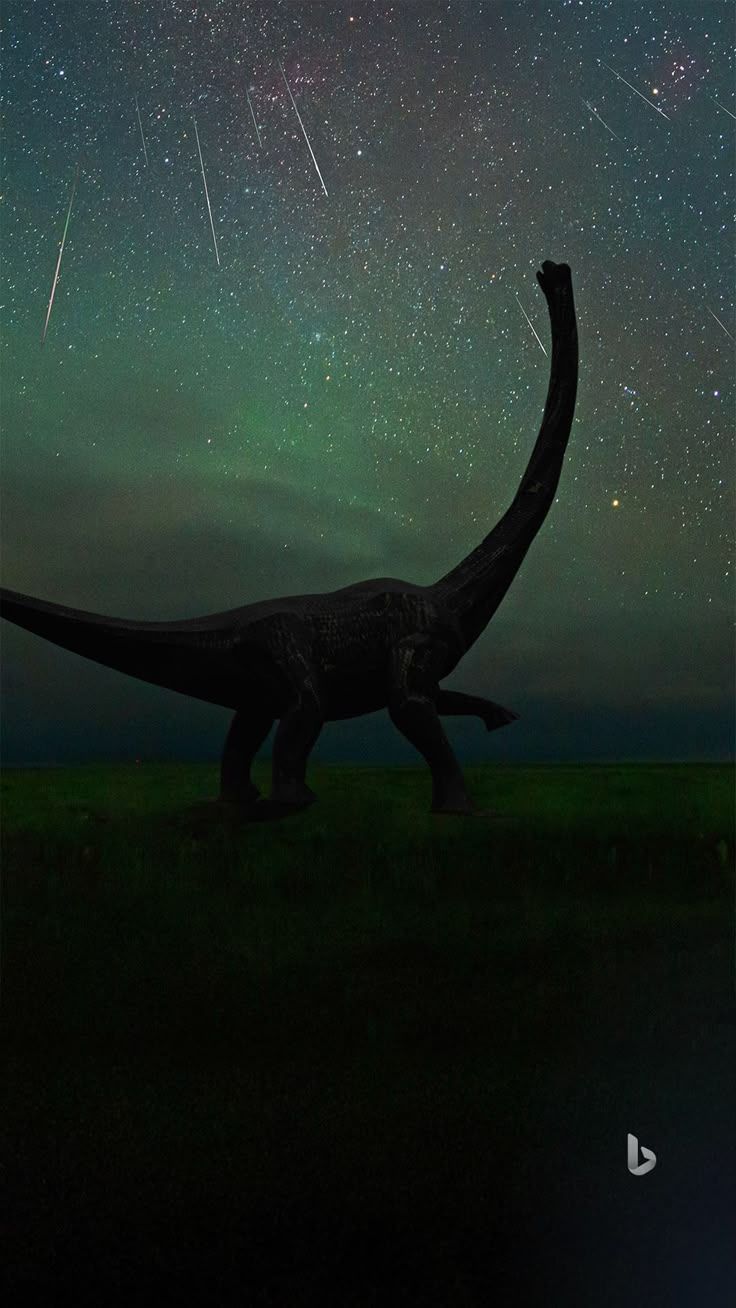 736x1308 Nature. Dinosaur image, Dinosaur picture, Prehistoric animals