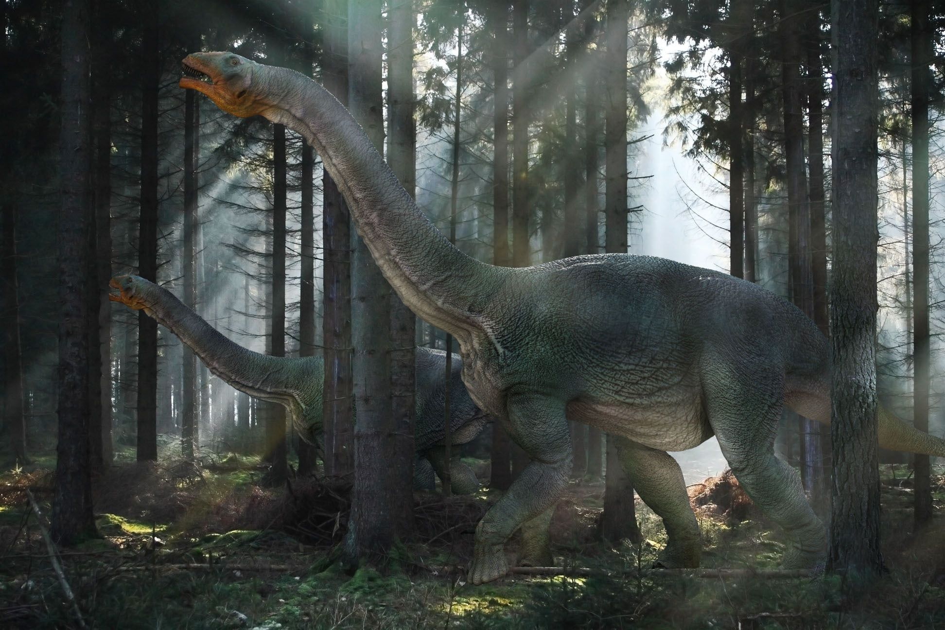 1944x1296 Gray brontosaurus near black trees HD wallpaper