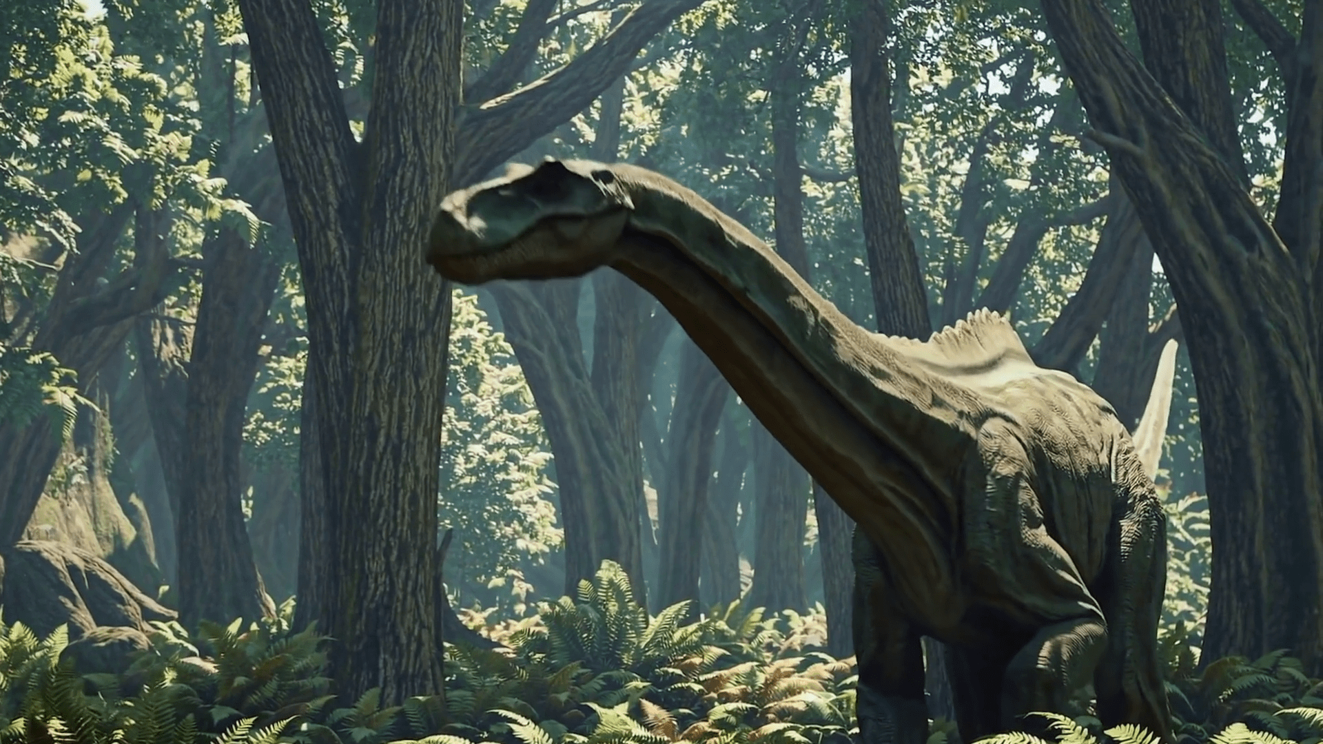 1920x1080 Brontosaurus Herd Grazing In Primeval Forest 3D Dinosaur Animation Jurassic World