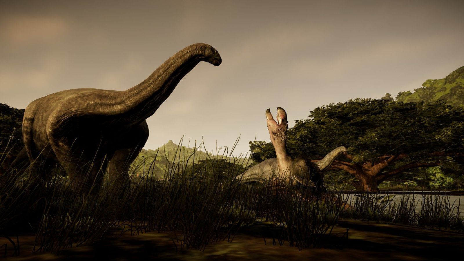1600x900 A Brooding Brutornis guards her nest from a herd Brontosaurus baxteri. But there is little she can do to stop the advancing giants