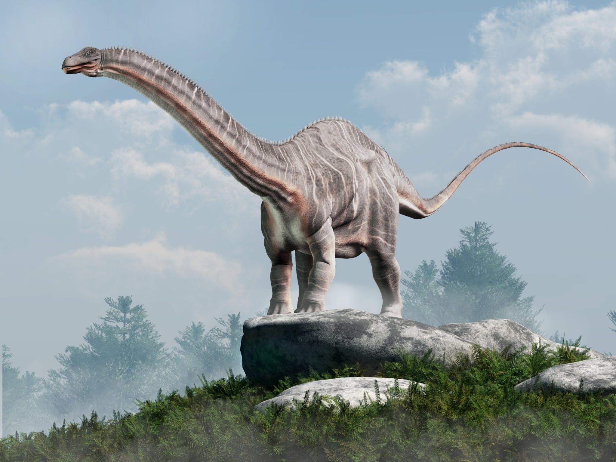 2048x1536 Brontosaurus: Profile + 7 Characteristics of the Dinosaur Digital Reader