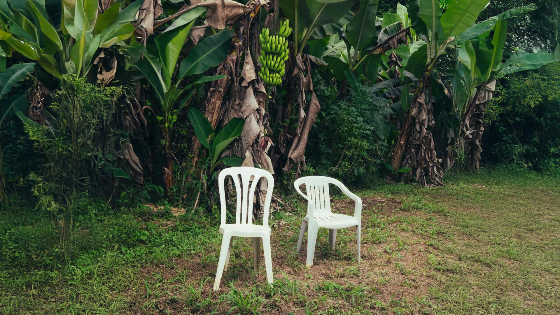 1920x1080 Bad Bunny's Debí Tirar Más Fotos Is a Love Letter to Home