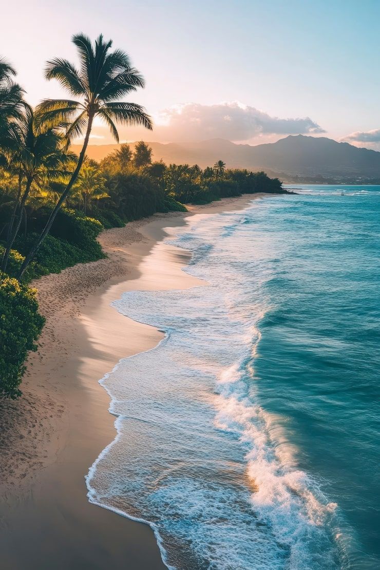 740x1110 Beaches india Image