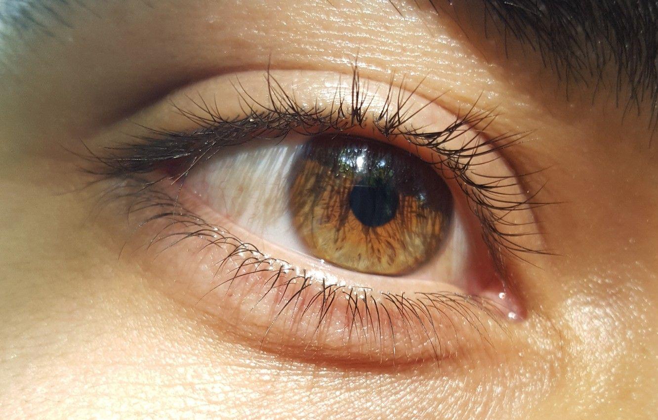 1332x850 Wallpaper gold, eyes, brown, men, face, eye, soft, faces, nice, Eye image for desktop, section мужчины