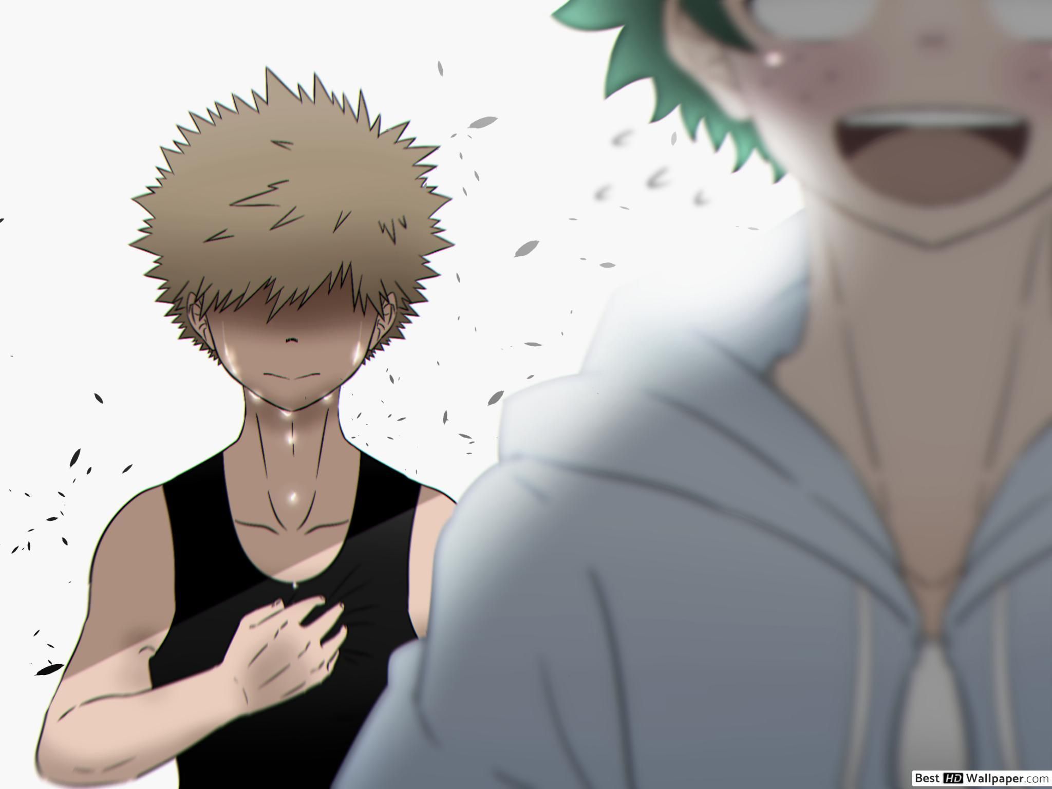 2048x1536 Sad My Hero Academia Wallpaper