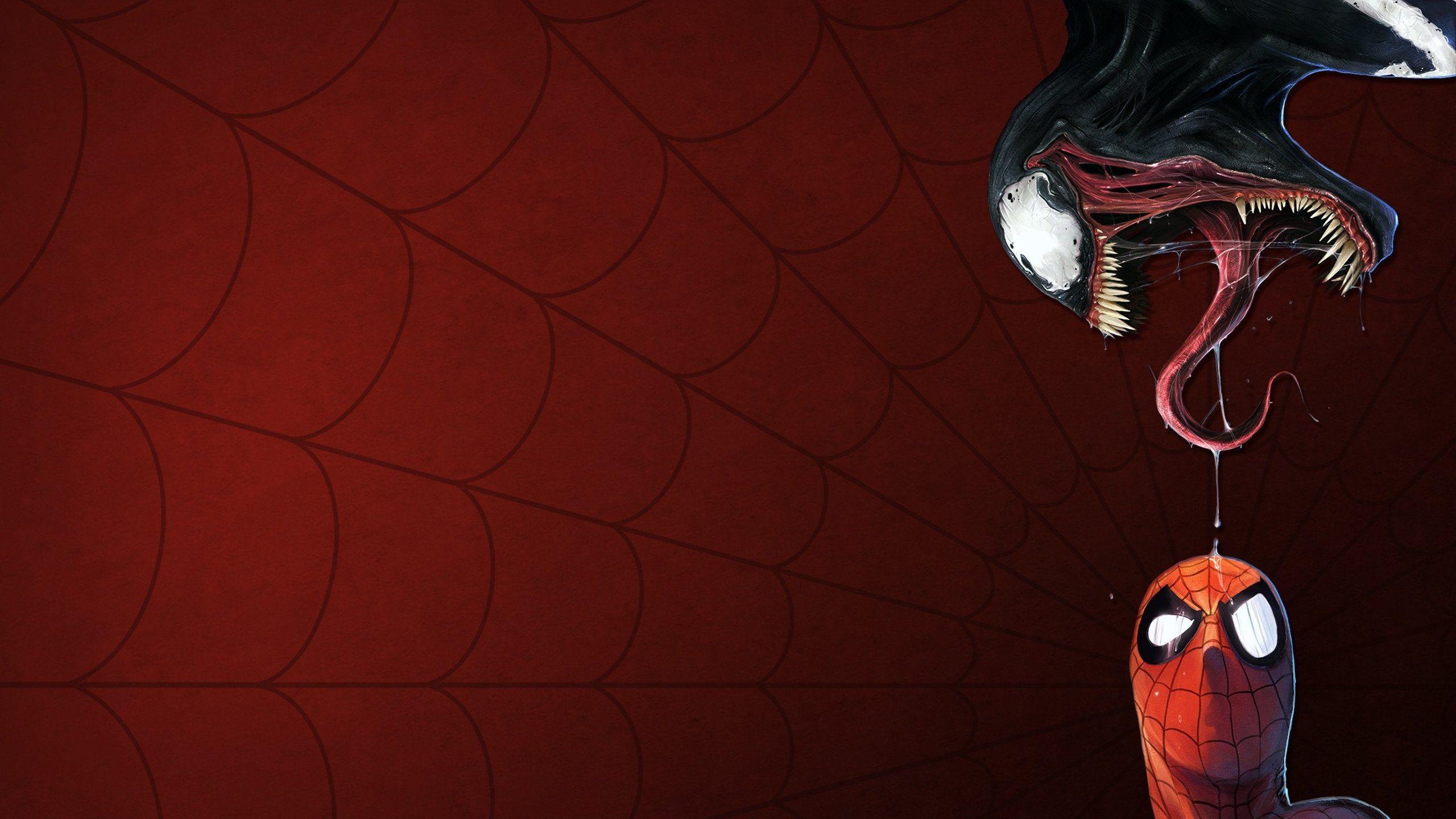 2560x1440 Spider Man Vs. Venom [2560x1440]