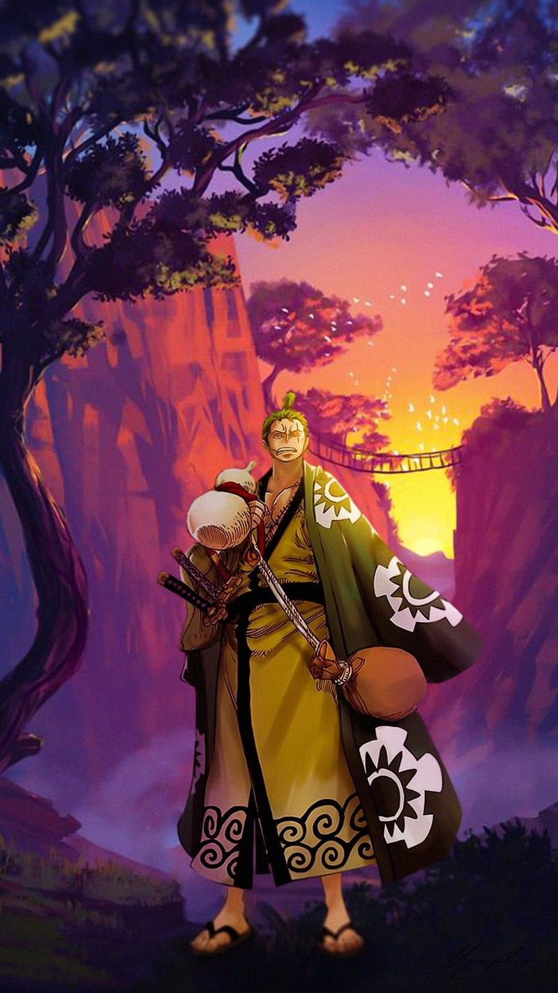 800x1422 Zoro, Wano, Anime, One Piece, Manga, HD phone wallpaper