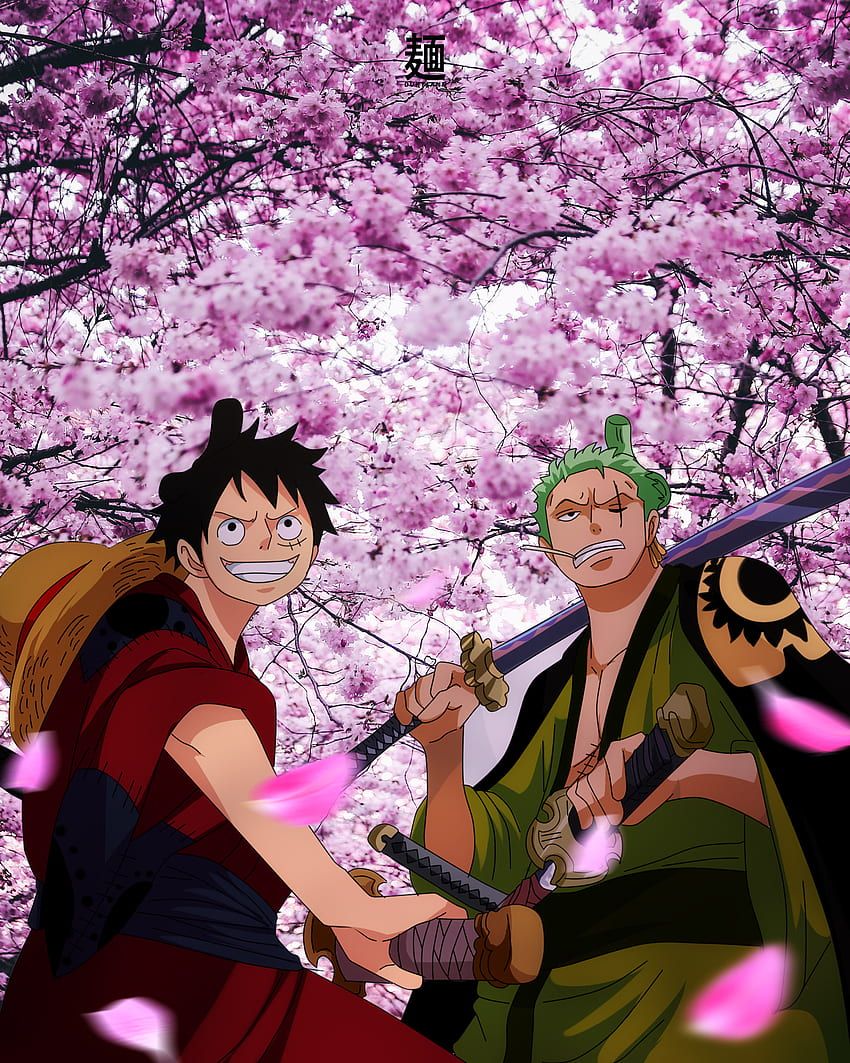 850x1063 One piece, luffy, zoro, wano HD phone wallpaper