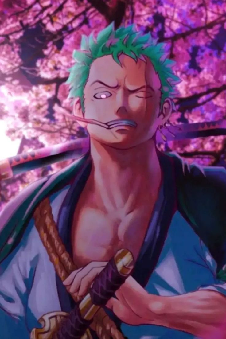736x1104 Roronoa Zoro Wano Wallpaper or Icon