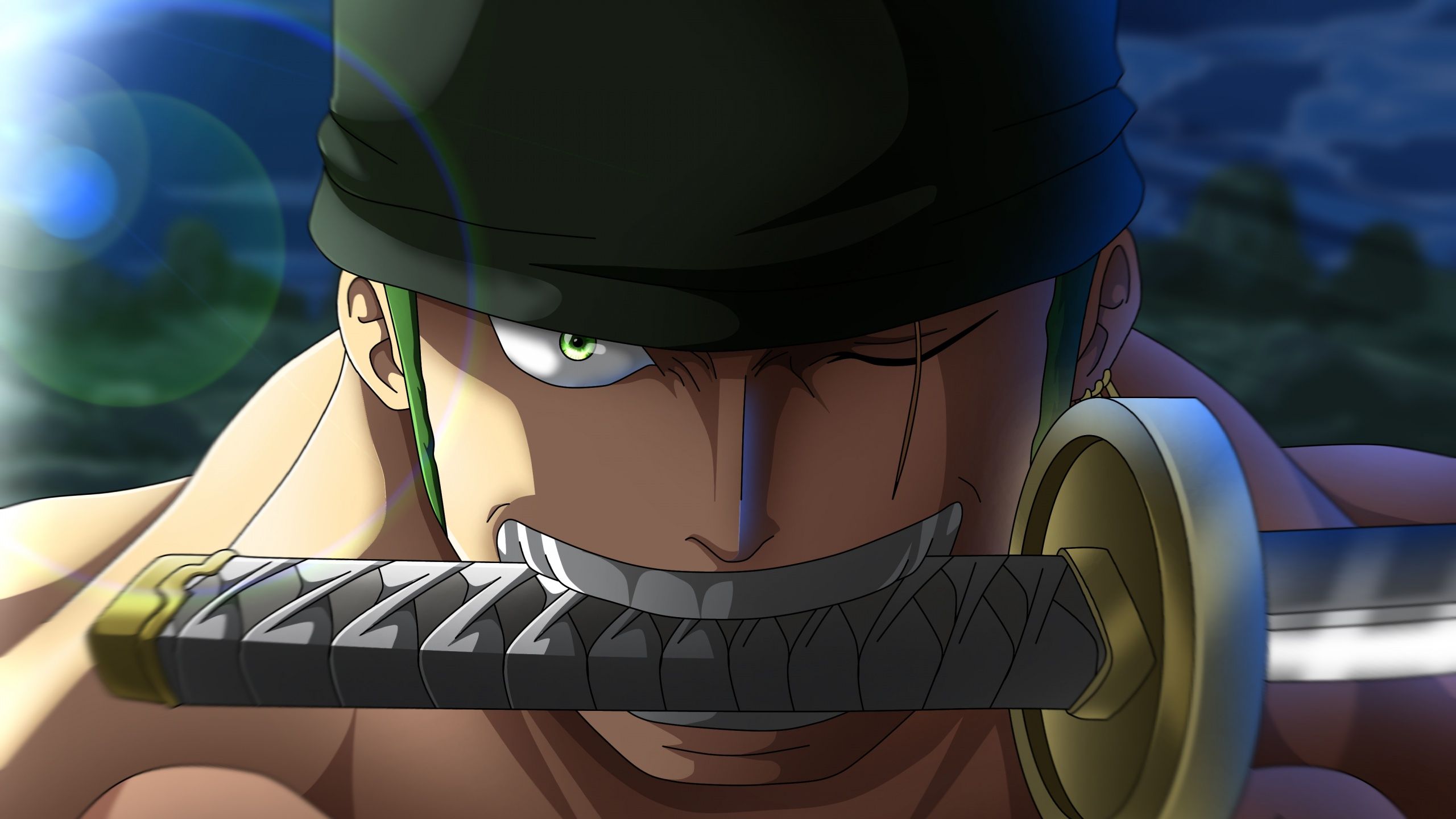 2560x1440 Roronoa Zoro Wallpaper 4K, Katana, Wado Ichimonji, One Piece