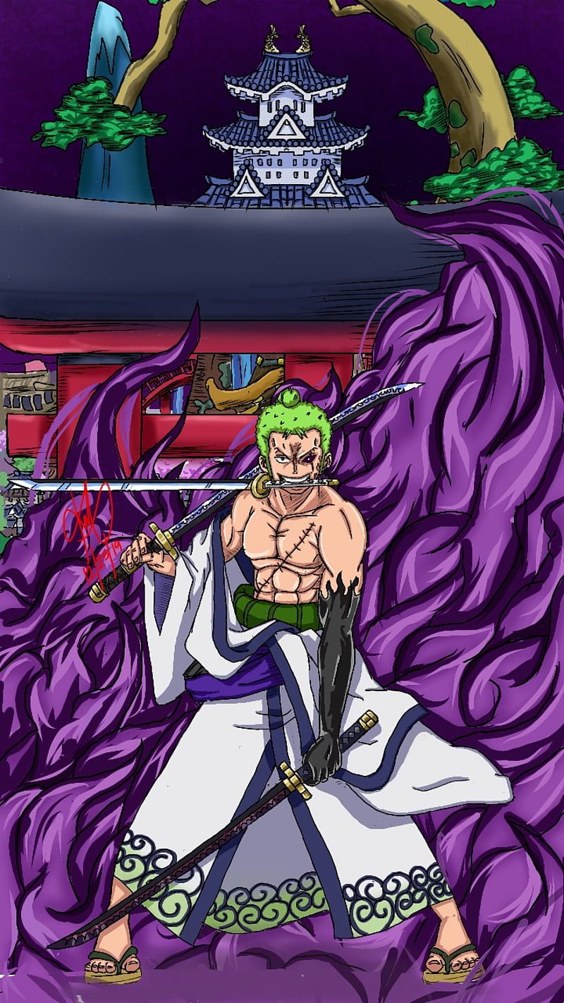800x1422 1200x1600px, 720P free download. Zoro, anime, cartoon, haki, one piece, samurau, wano arc, HD phone wallpaper