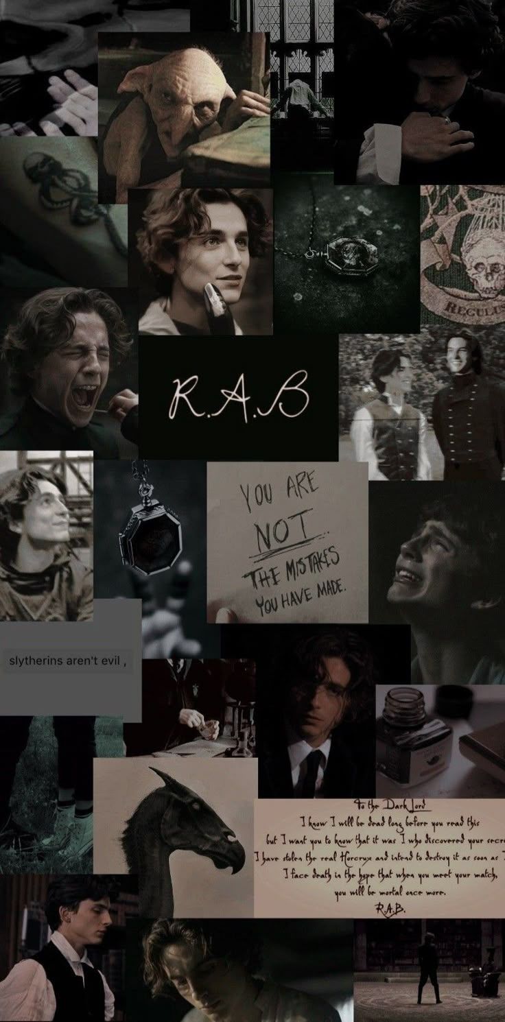 736x1490 Regulus Black Collage Wallpaper Timothee Chalamet