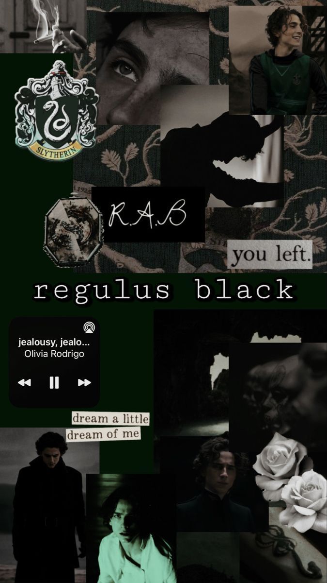675x1200 Regulus ideas. the marauders, regulus black, harry potter marauders