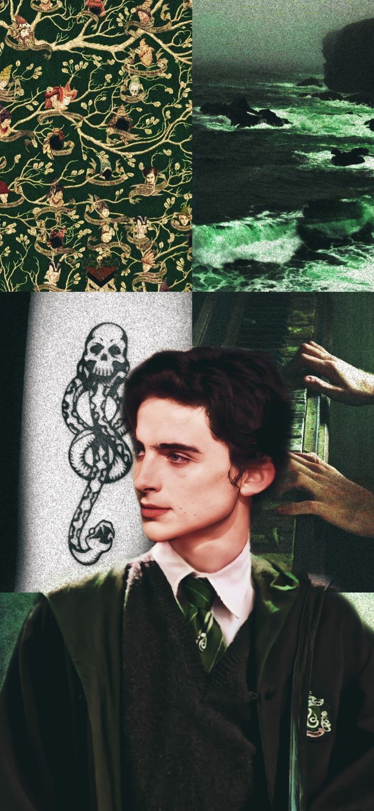 736x1594 Regulus Black