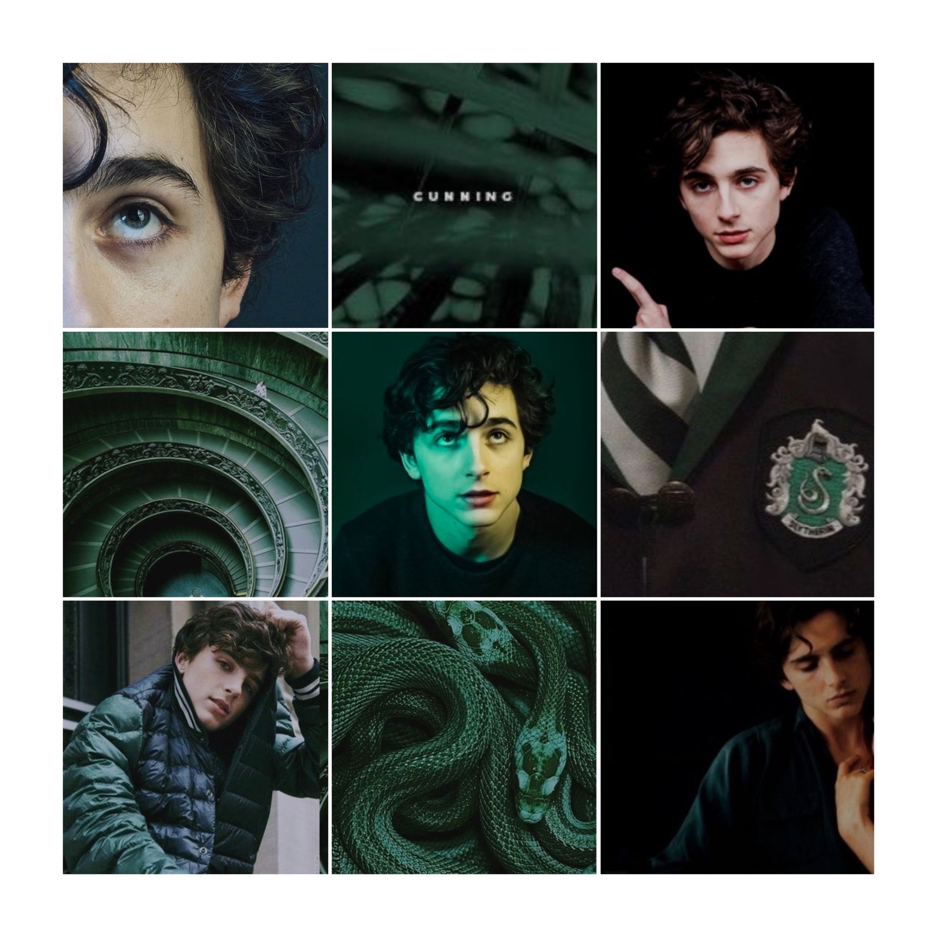 1920x1920 Regulus Black Wallpaper