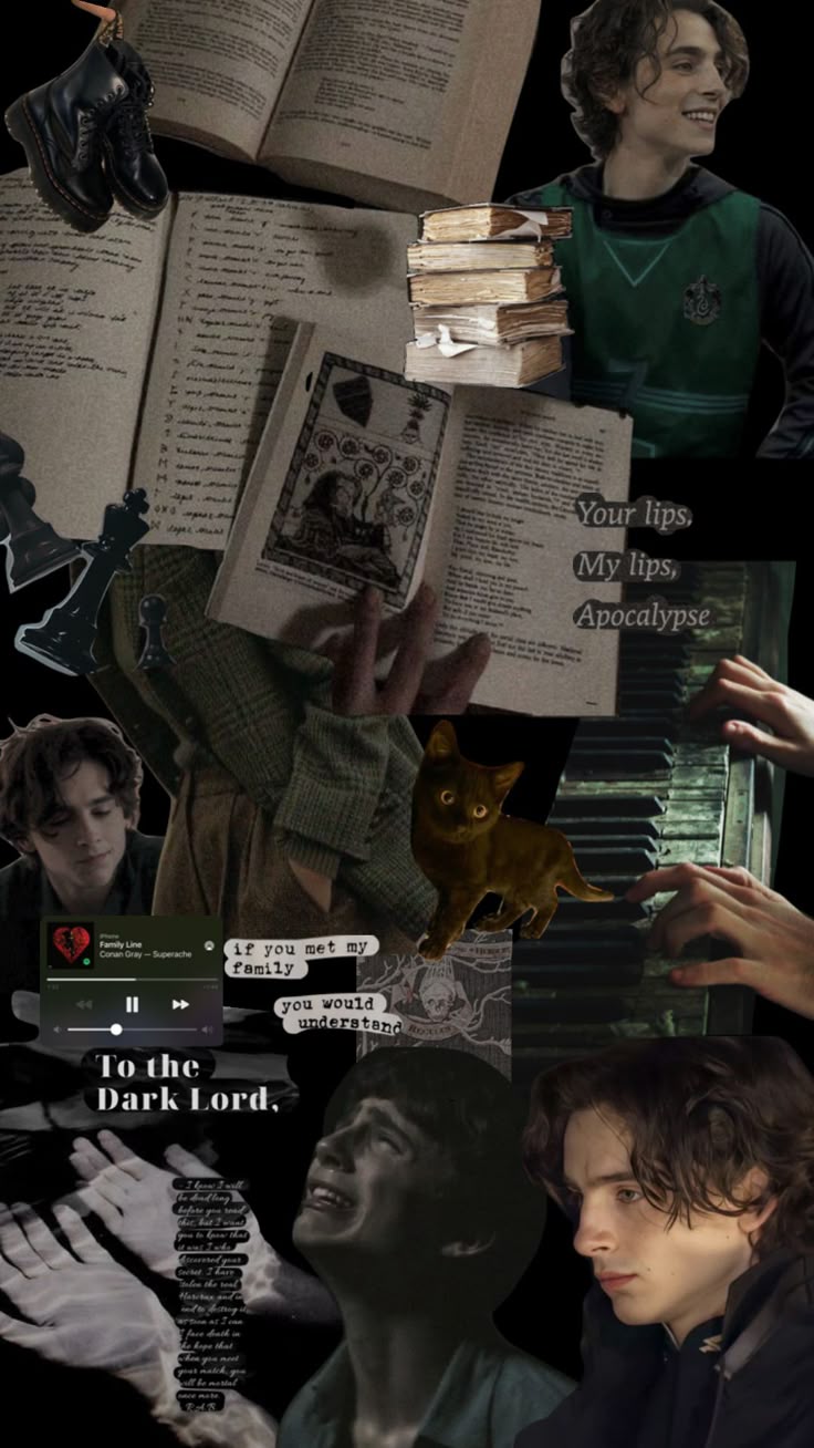 736x1308 Check out arcturuslupin's Shuffles regulus black. Regulus black, Harry potter wallpaper background, Harry potter wallpaper