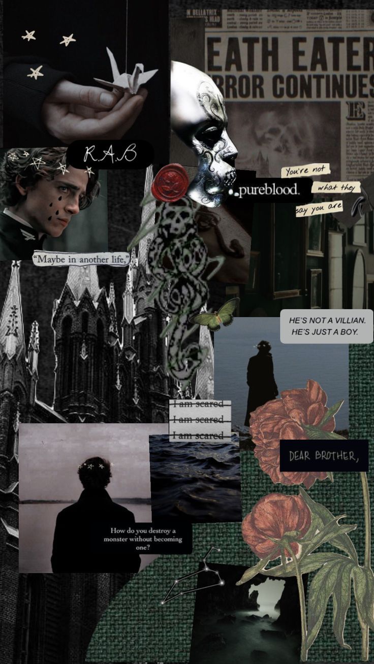 736x1308 Check out MiaGrace394's Shuffles Regulus Arcturus Black <3 #reglusblack #maraudersera #deatheate. Harry potter wallpaper background